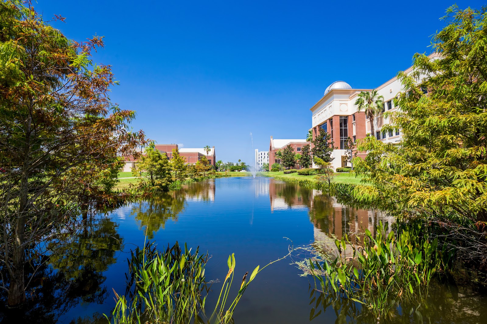 Institute of Technology 2424 campus