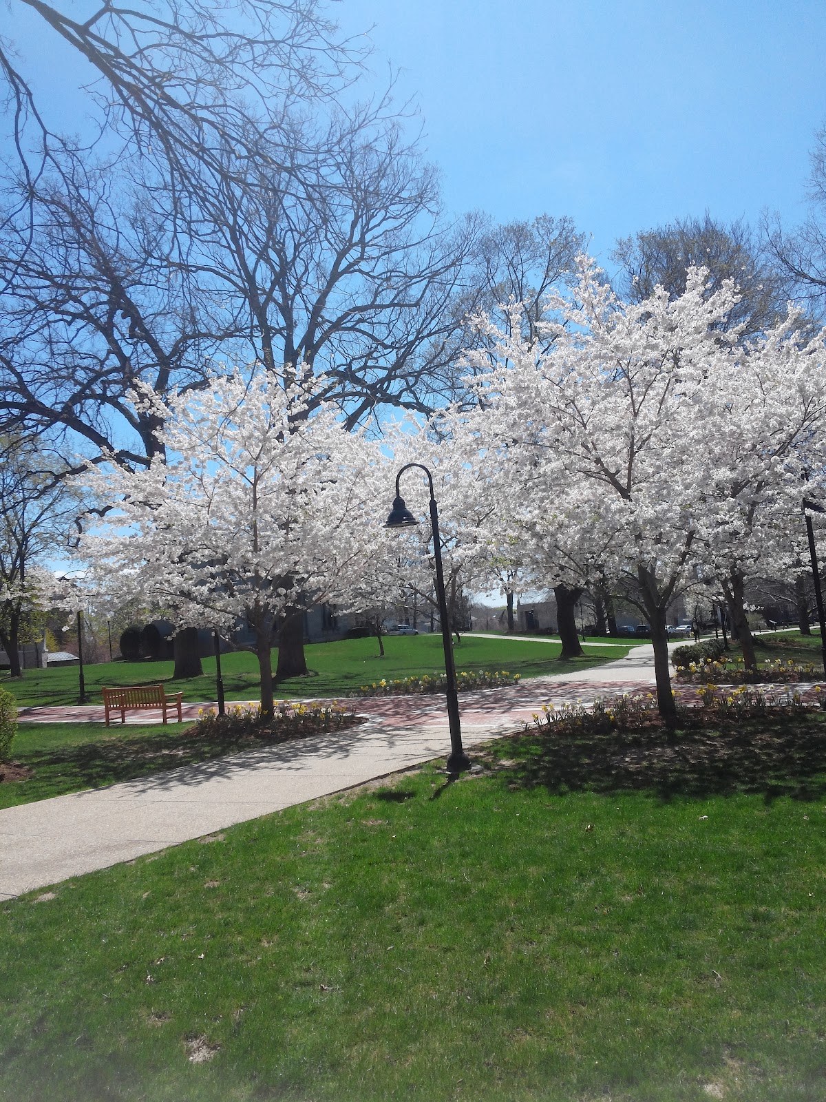 Providence College photo 7