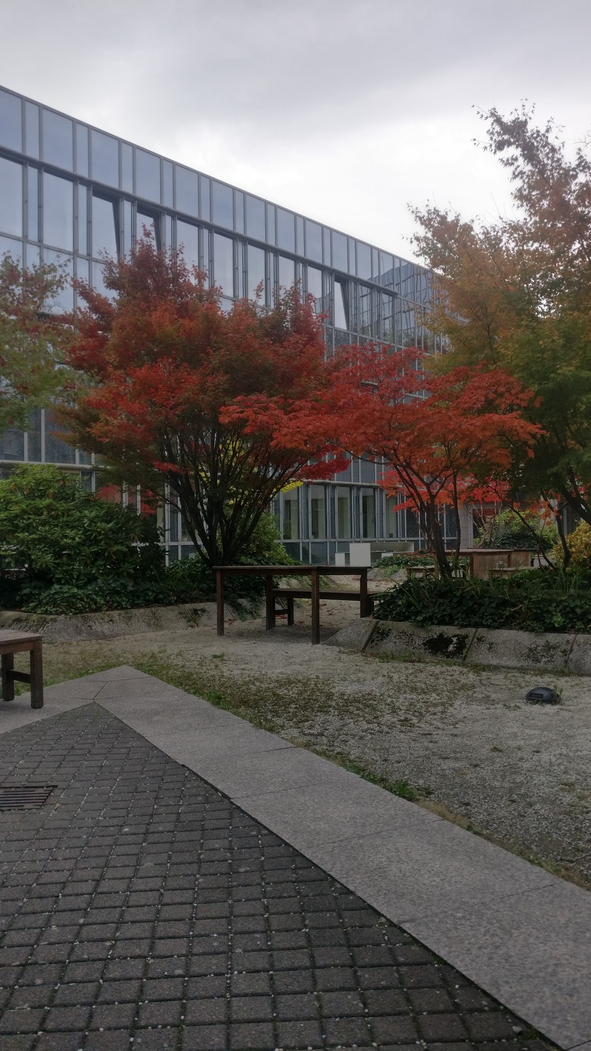 EBS Universität für Wirtschaft und Recht photo 7