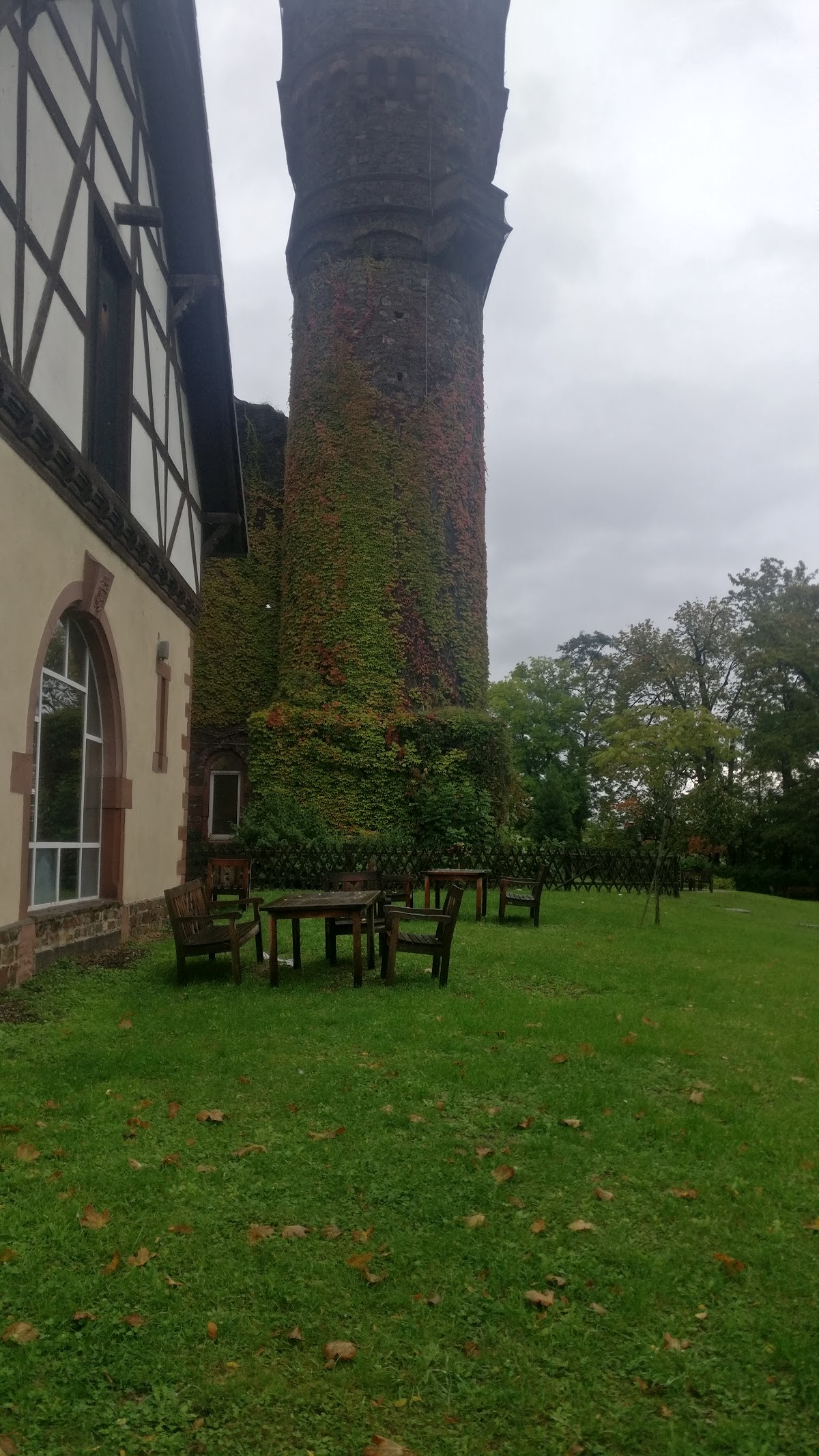 EBS Universität für Wirtschaft und Recht photo 8