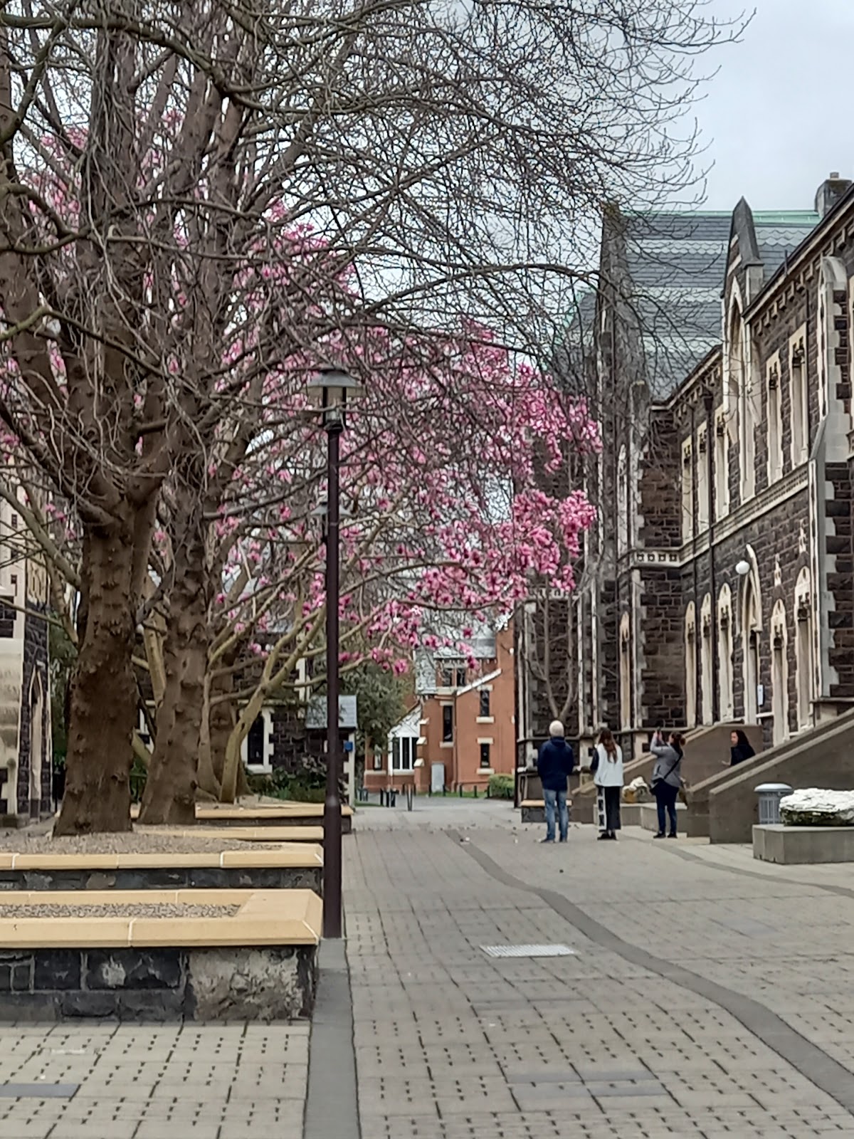 University of Otago photo 9