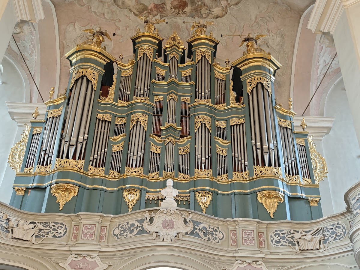 Vilnius University photo 4