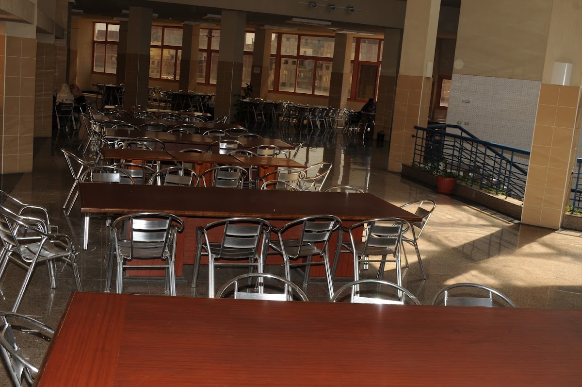 Pharos University in Alexandria photo 3