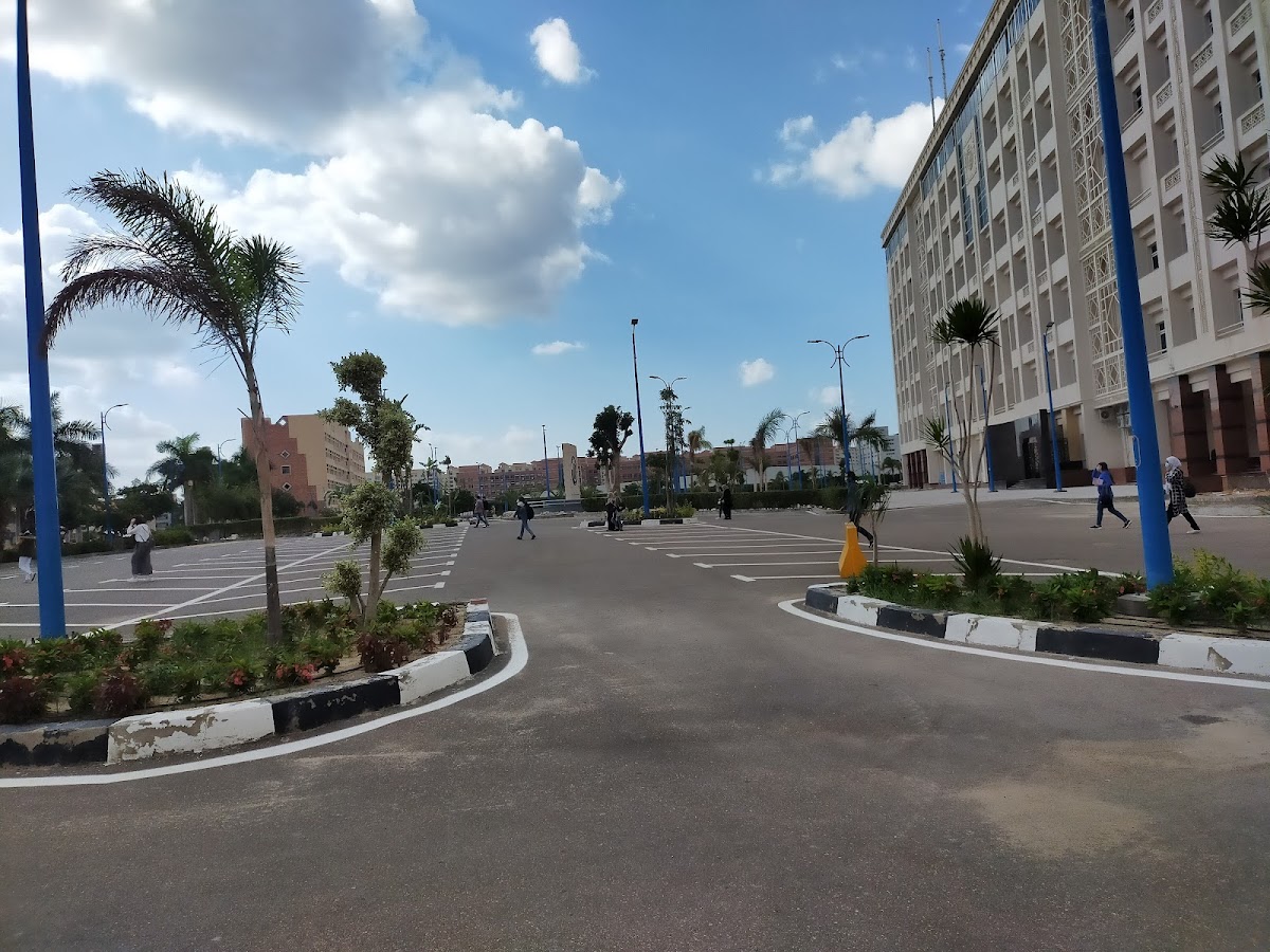 Pharos University in Alexandria photo 8