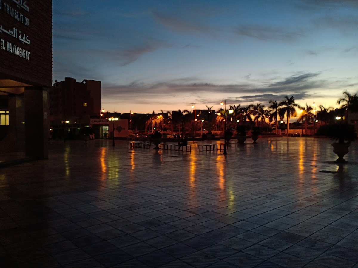 Pharos University in Alexandria photo 9