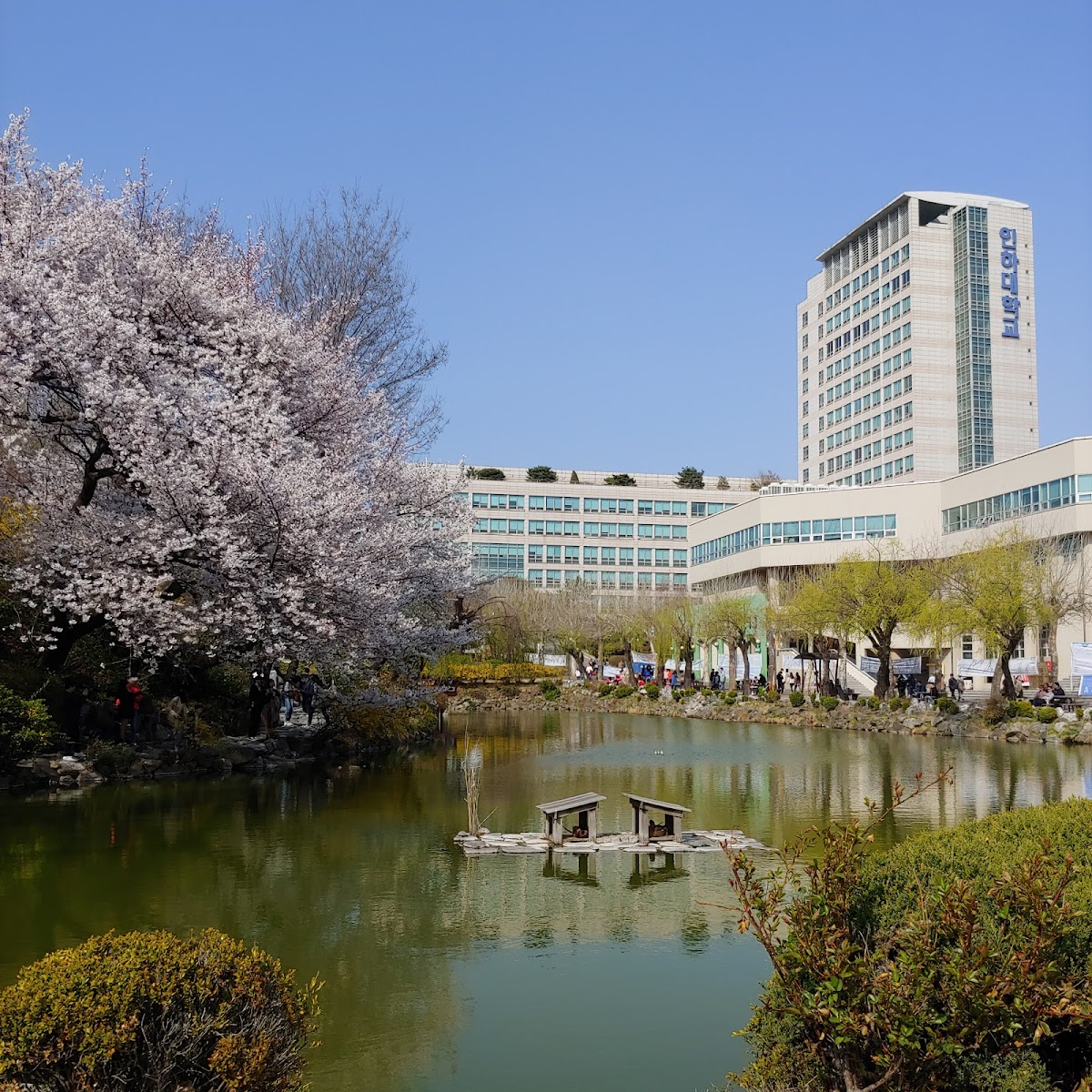 Inha University photo 6