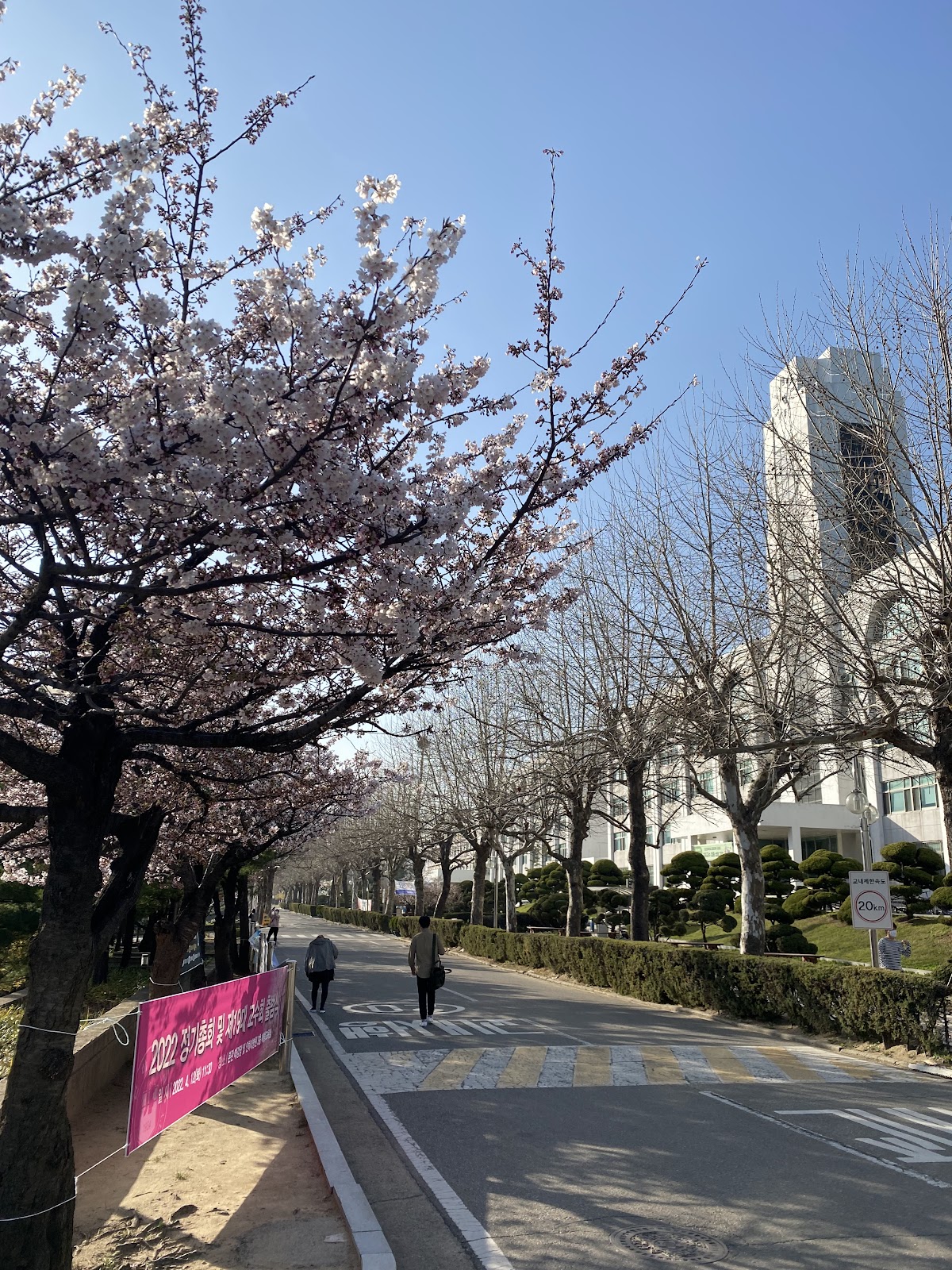 Inha University photo 8