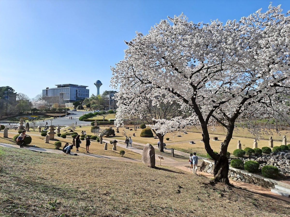Kyungpook National University photo 3