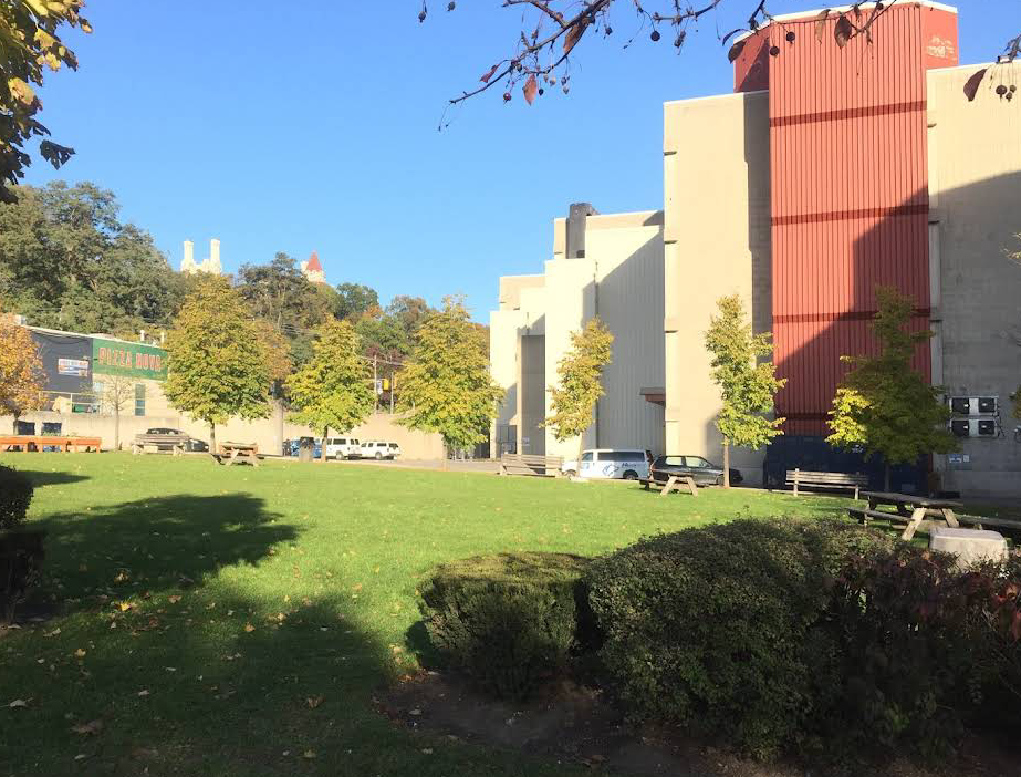 George Brown College photo 5