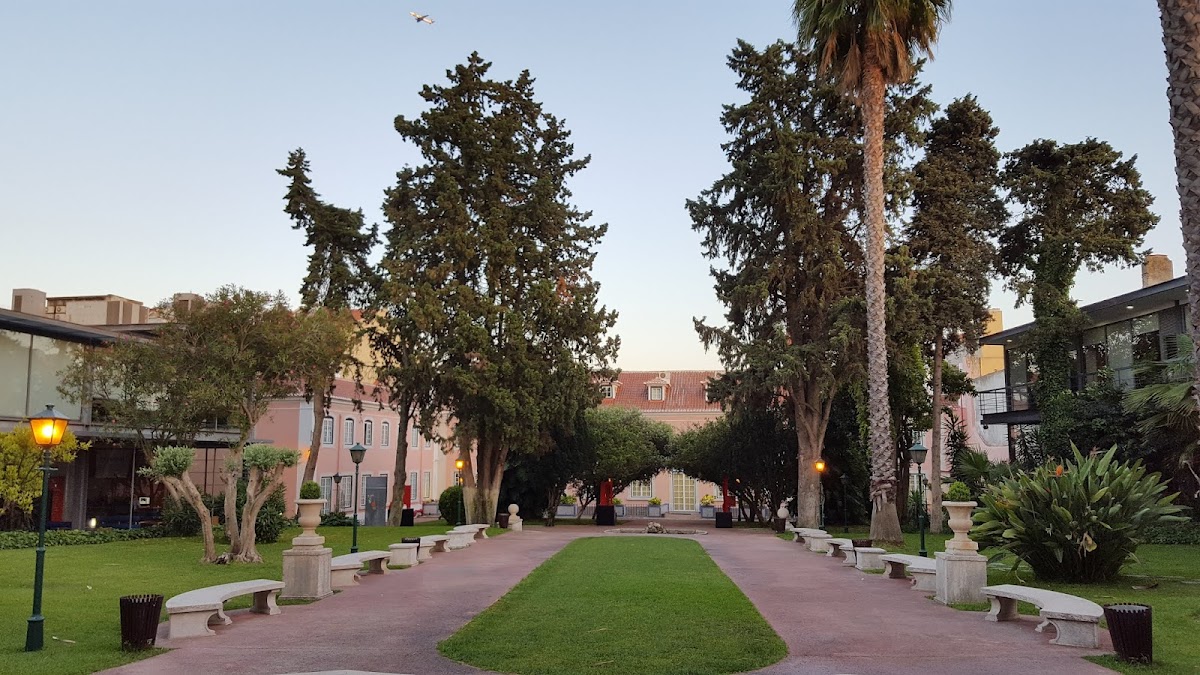 Lusíada University photo 1