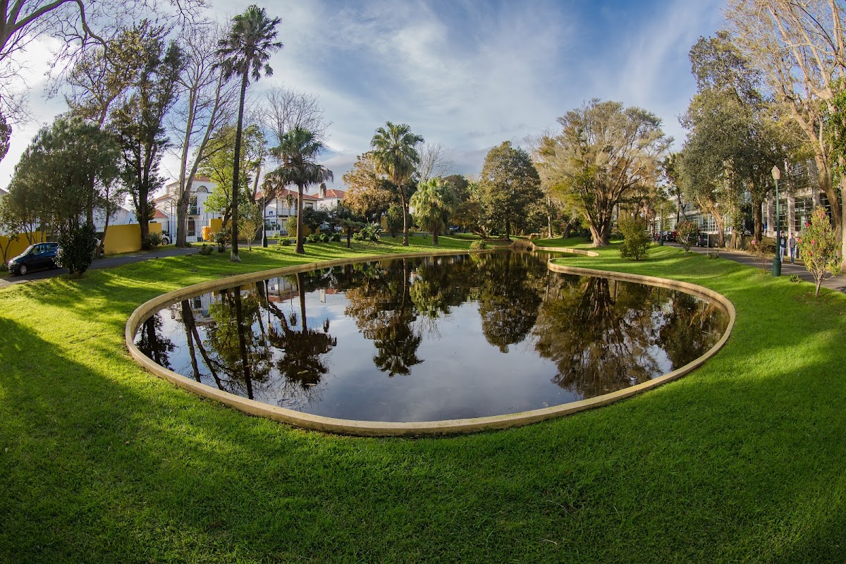 University of the Azores photo 1