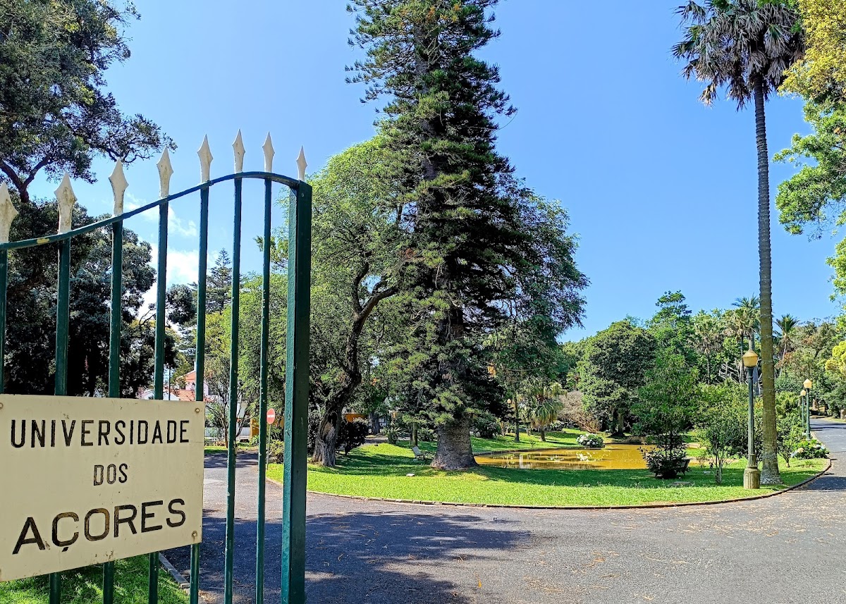 University of the Azores photo 6