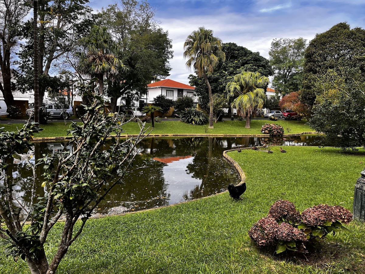 University of the Azores photo 8