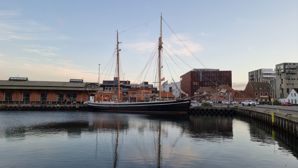 International Business Academy (IBA) Kolding photo 1