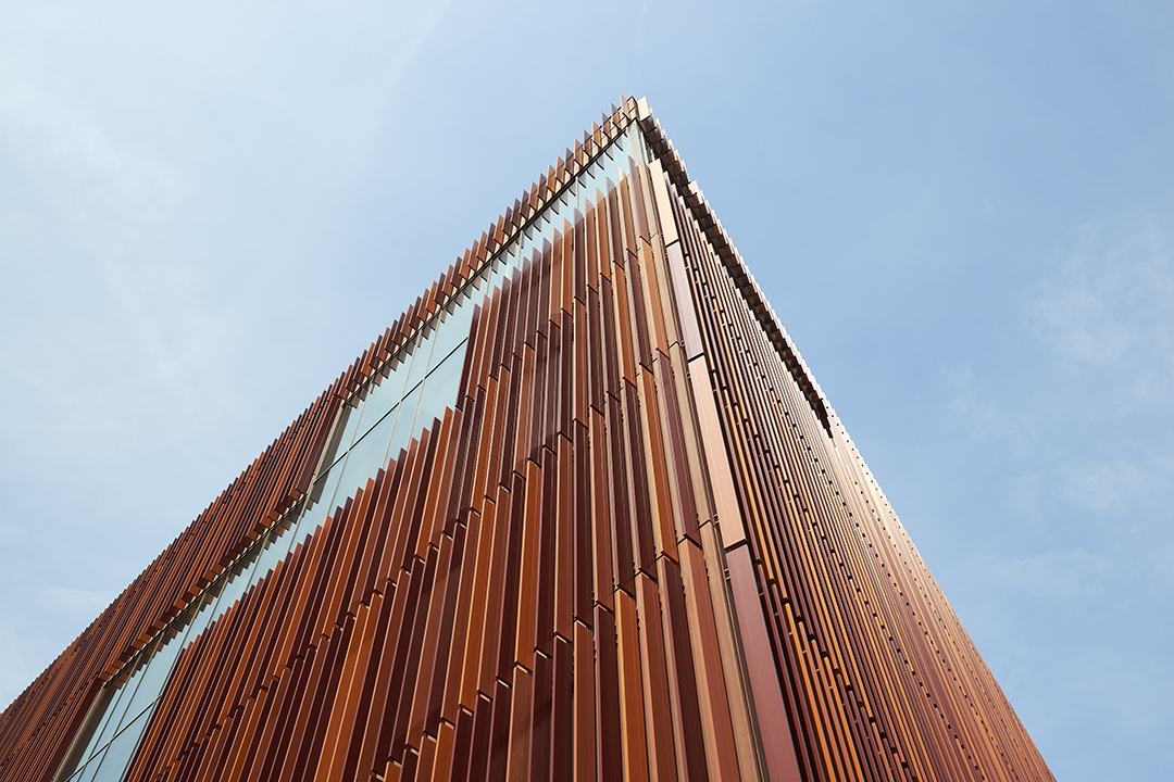 International Business Academy (IBA) Kolding photo 2