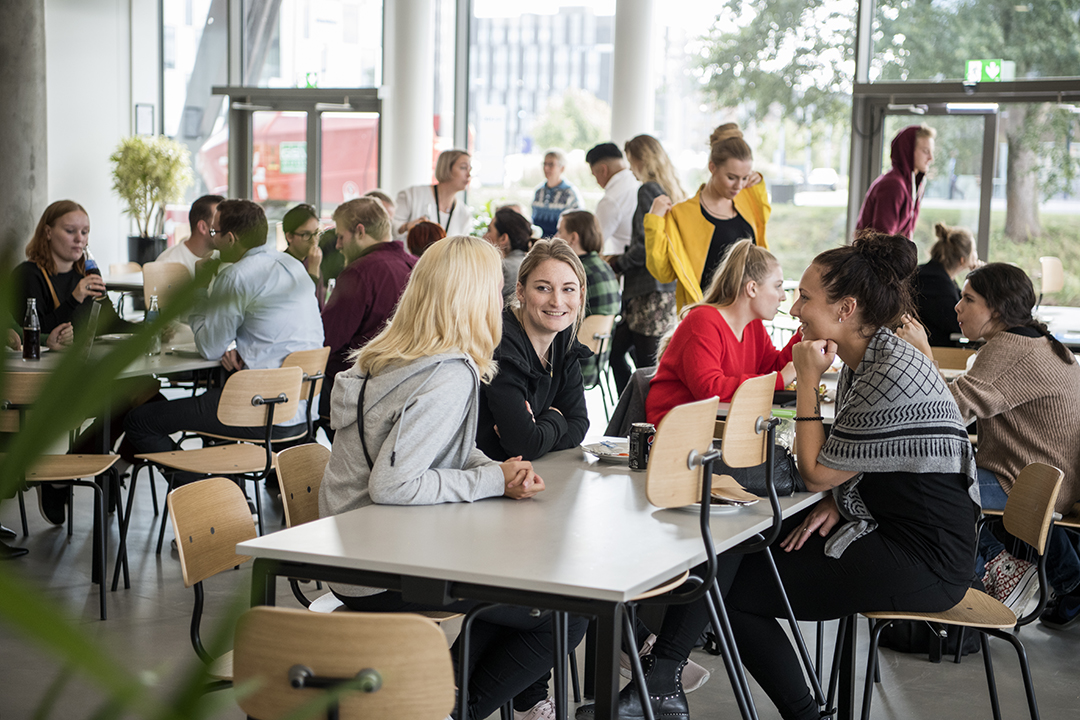 International Business Academy (IBA) Kolding photo 7