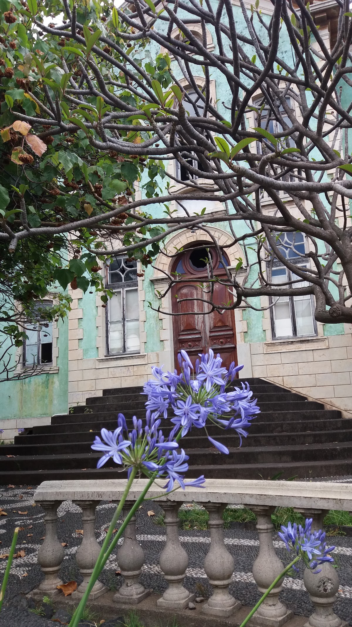 Instituto Superior de Administração e Línguas photo 5
