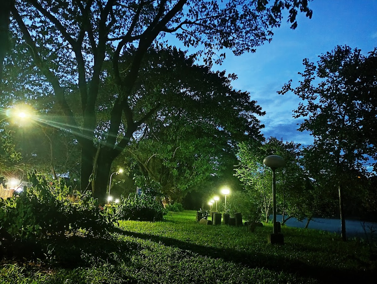 Tezpur University photo 8