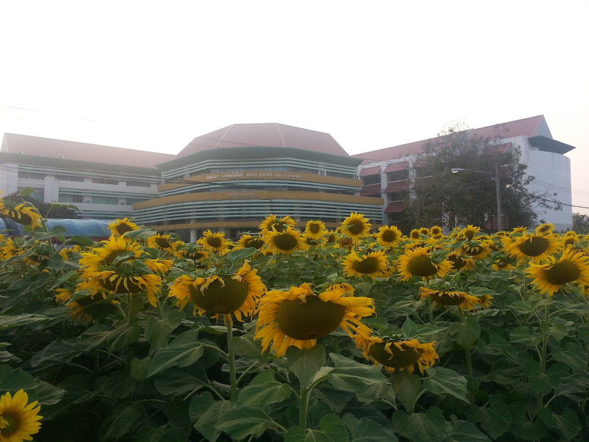 Maejo University photo 6