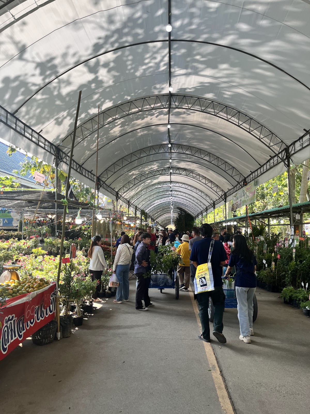 Maejo University photo 9