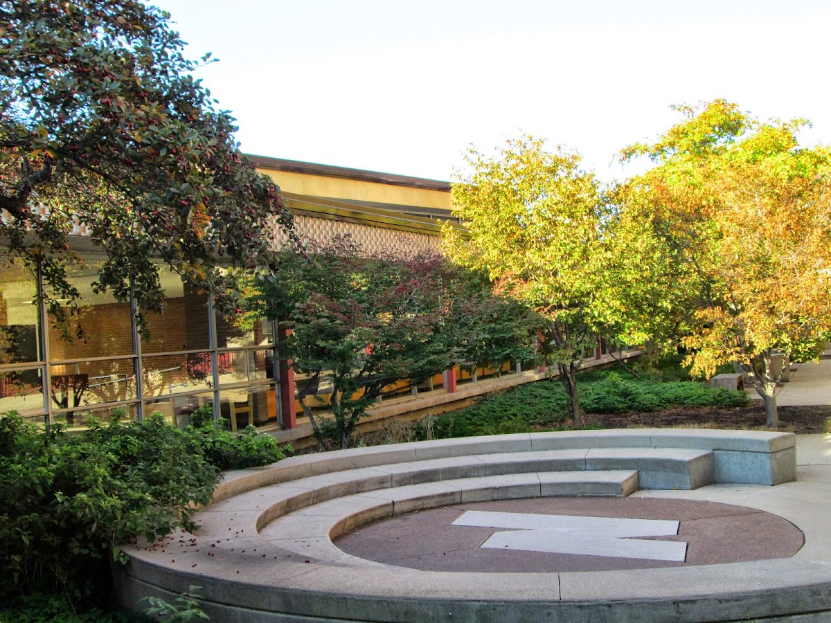 Regional University 2092 photo 2