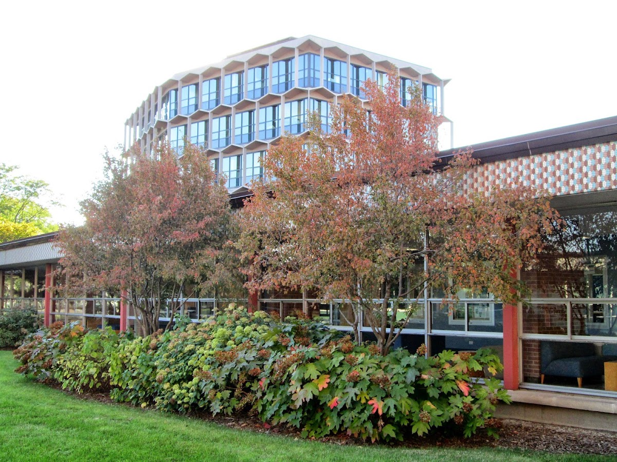 Regional University 2092 photo 3