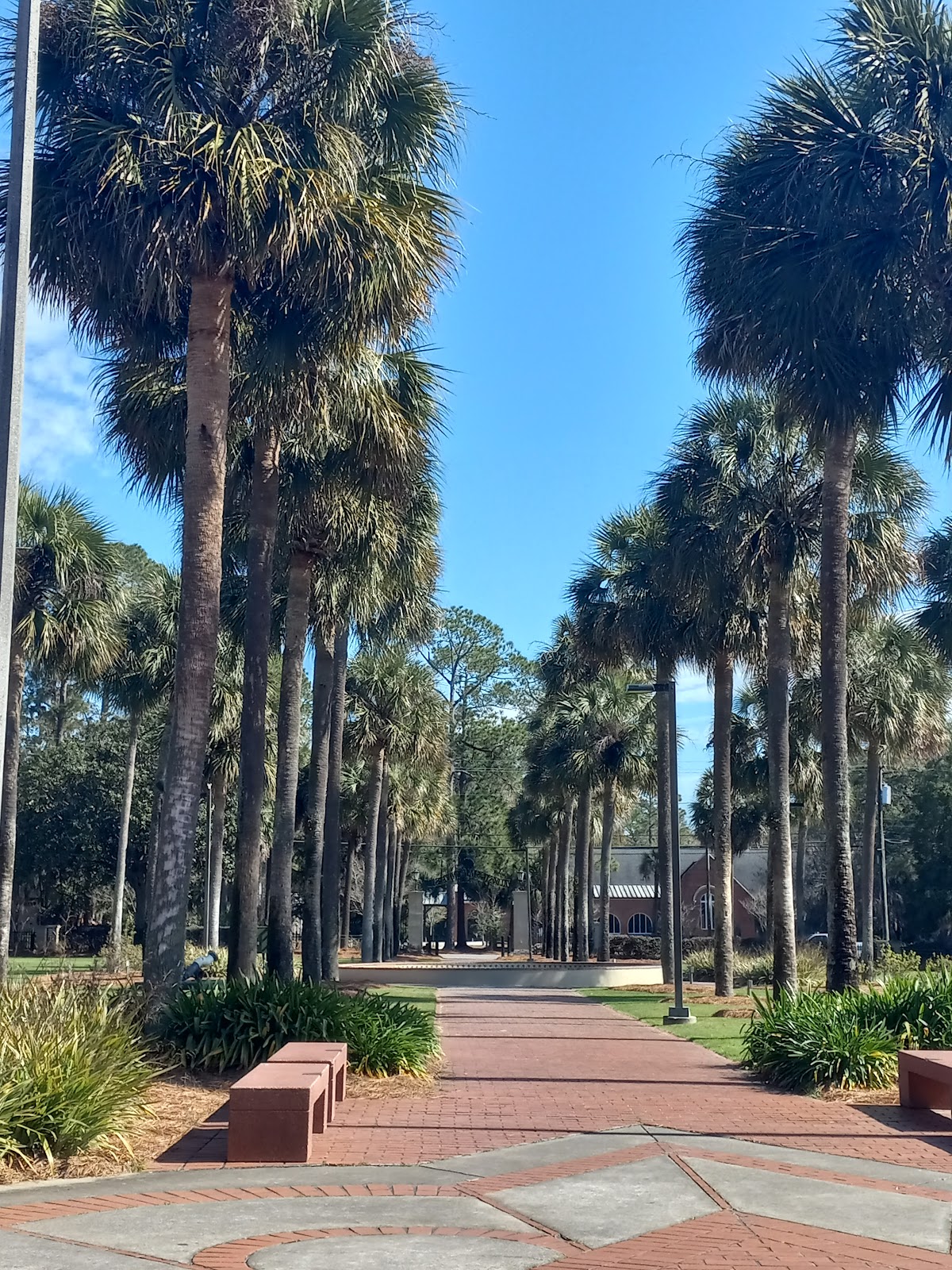 Valdosta State photo 6