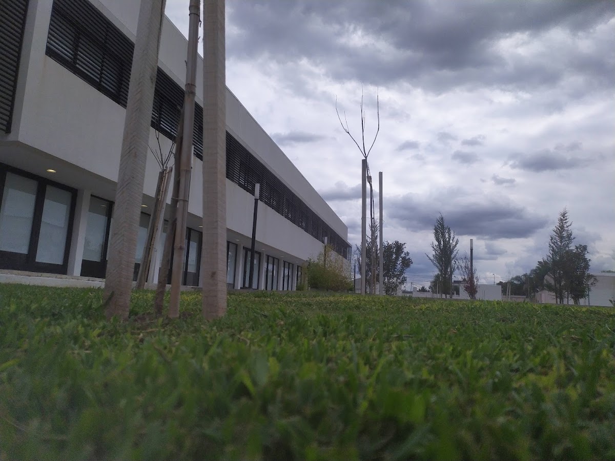 National University of Hurlingham photo 7