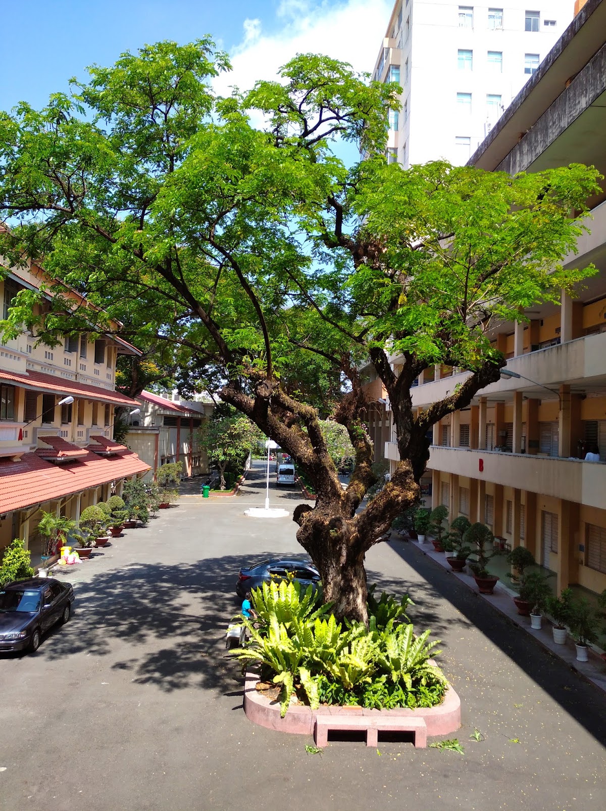 Ho Chi Minh City University of Science photo 9