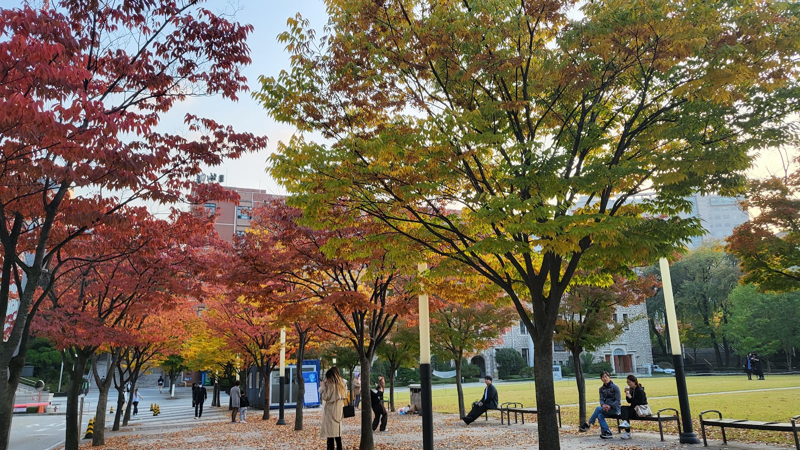 Chung-Ang University