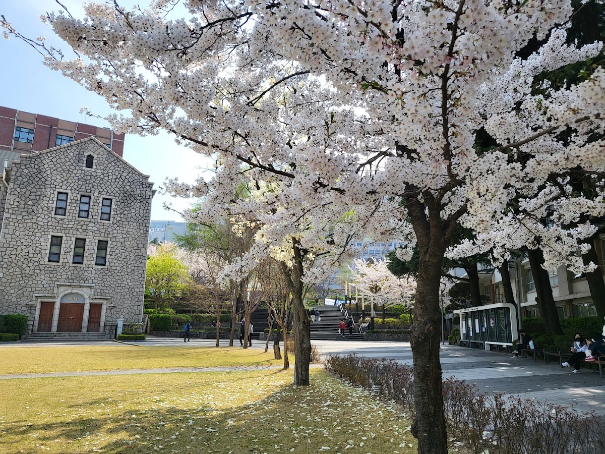 Chung-Ang University photo 7