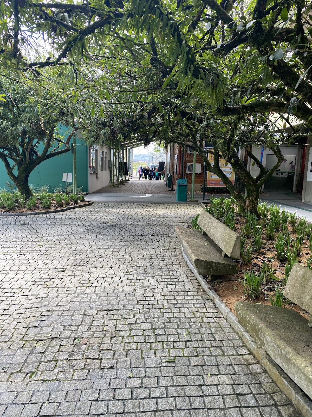 University of Joinville Region photo 7