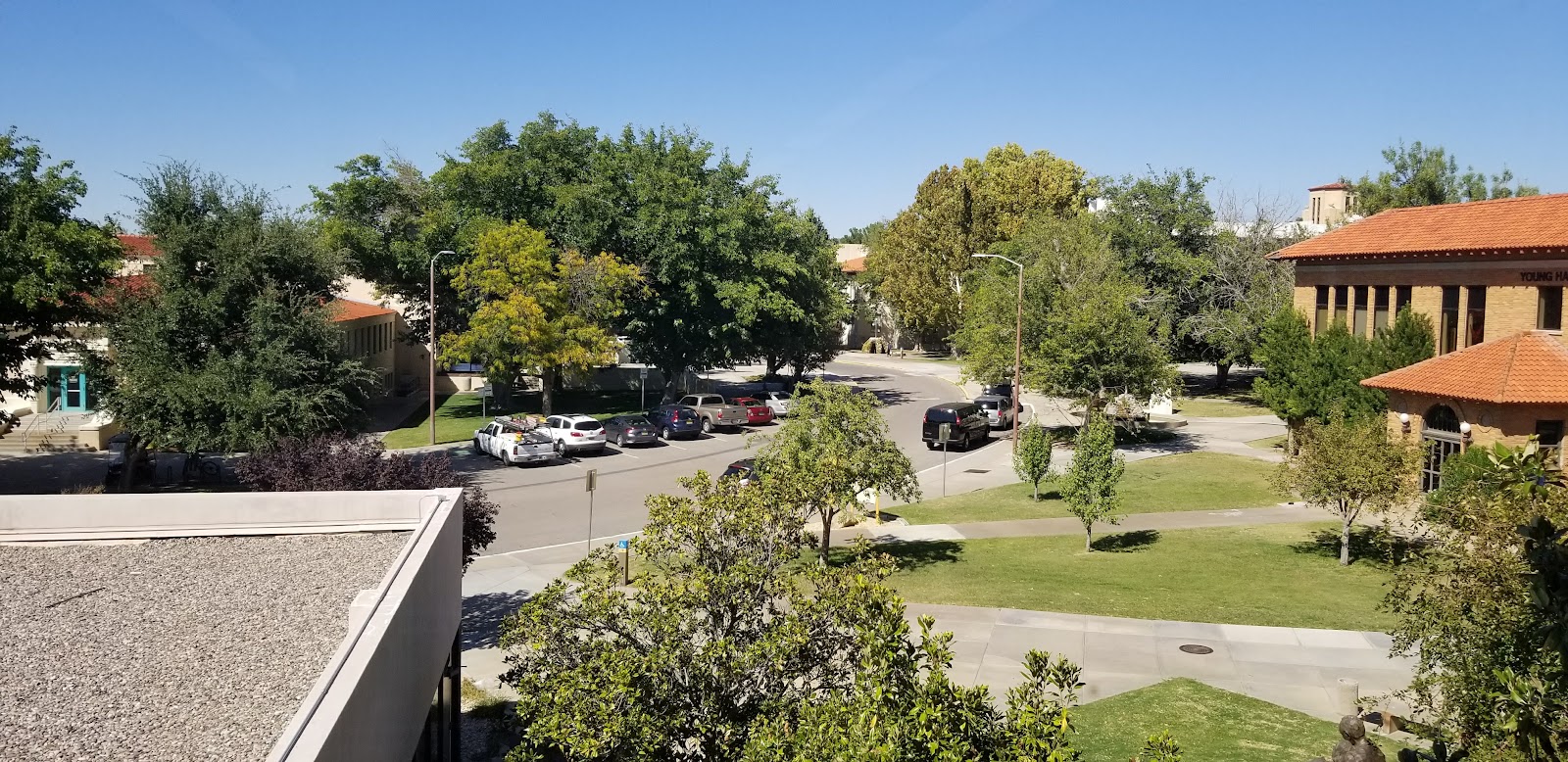 New Mexico State University