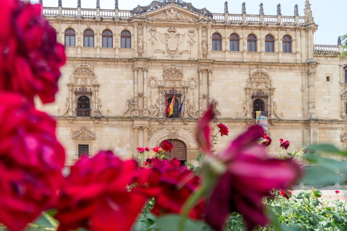 University of Alcalá photo 1