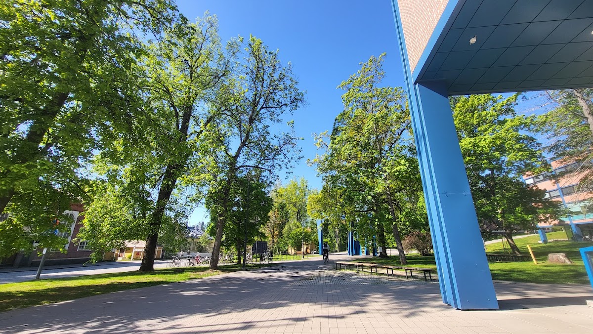 University of Jyväskylä photo 6