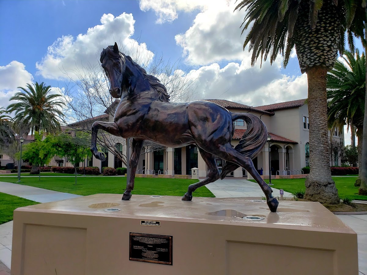 Santa Clara University photo 7