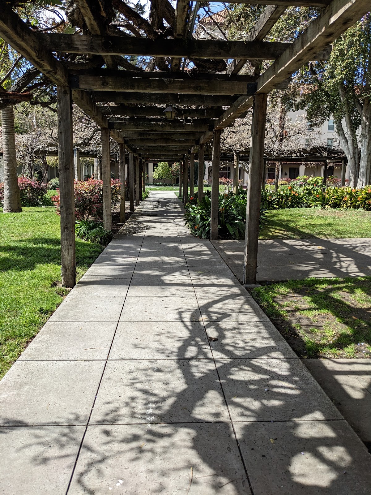 Santa Clara University photo 9