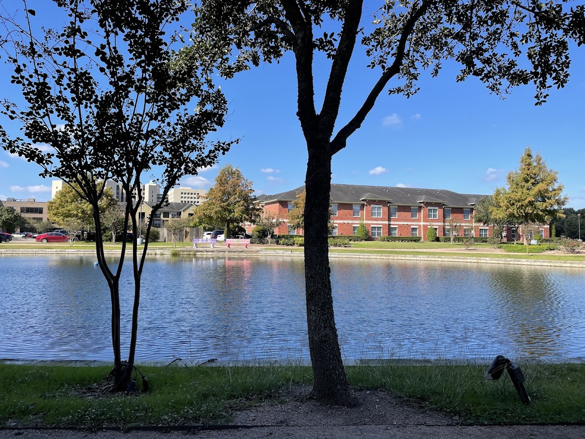 College of 2185 photo 6