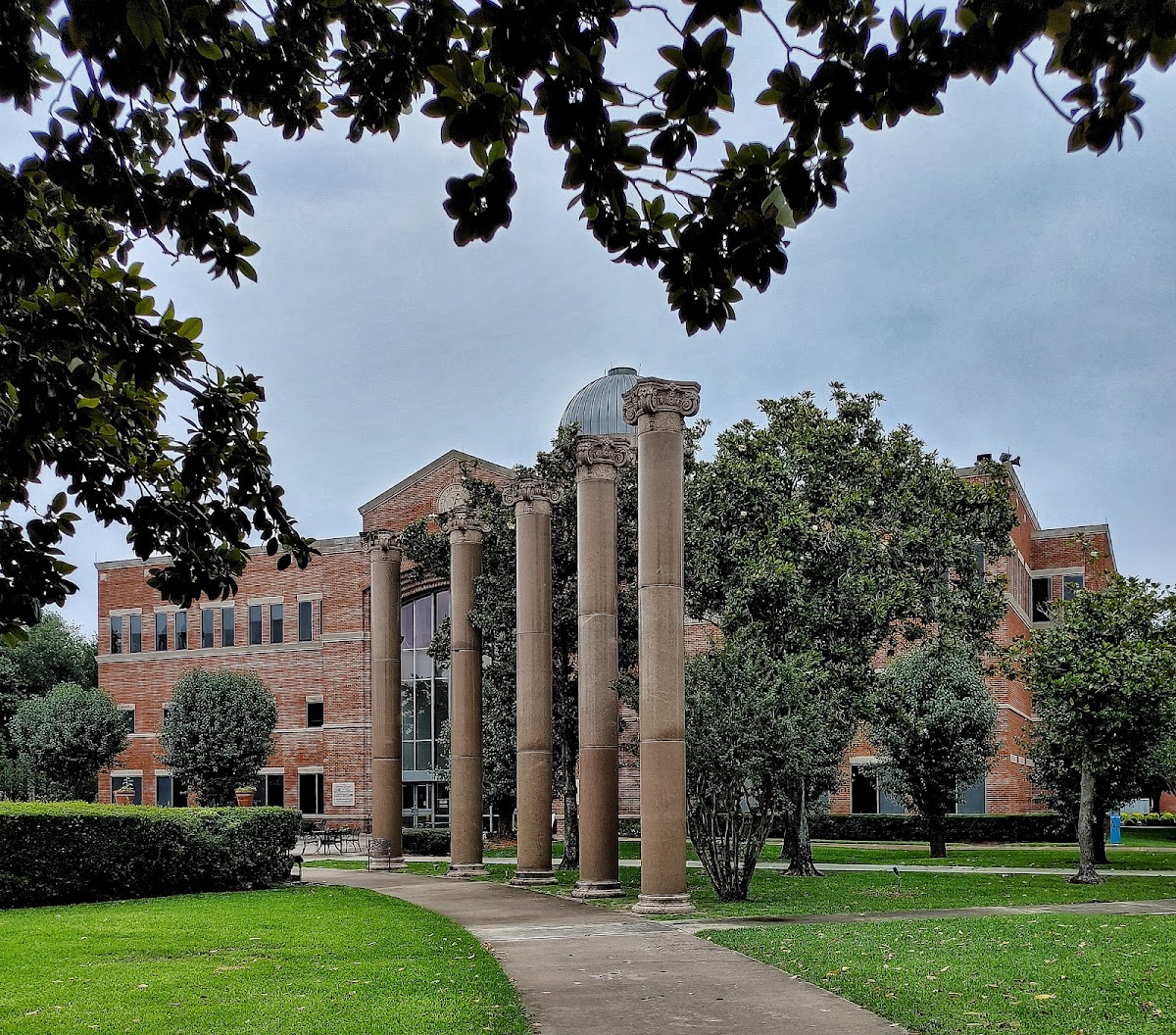 College of 2185 photo 7