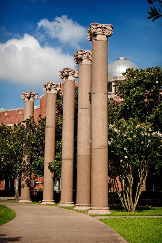 College of 2185 photo 9