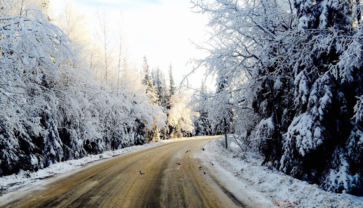Alaska Pacific University photo 4