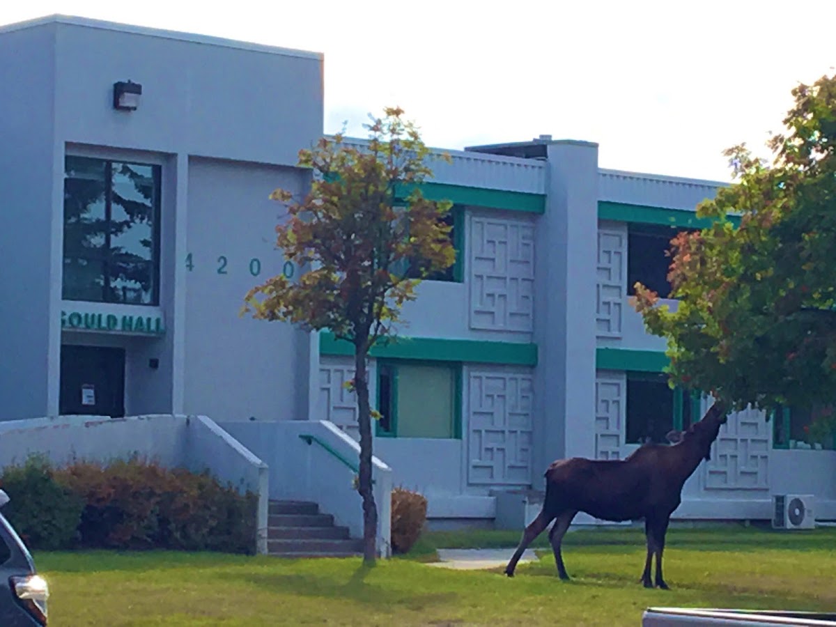 Alaska Pacific University photo 7