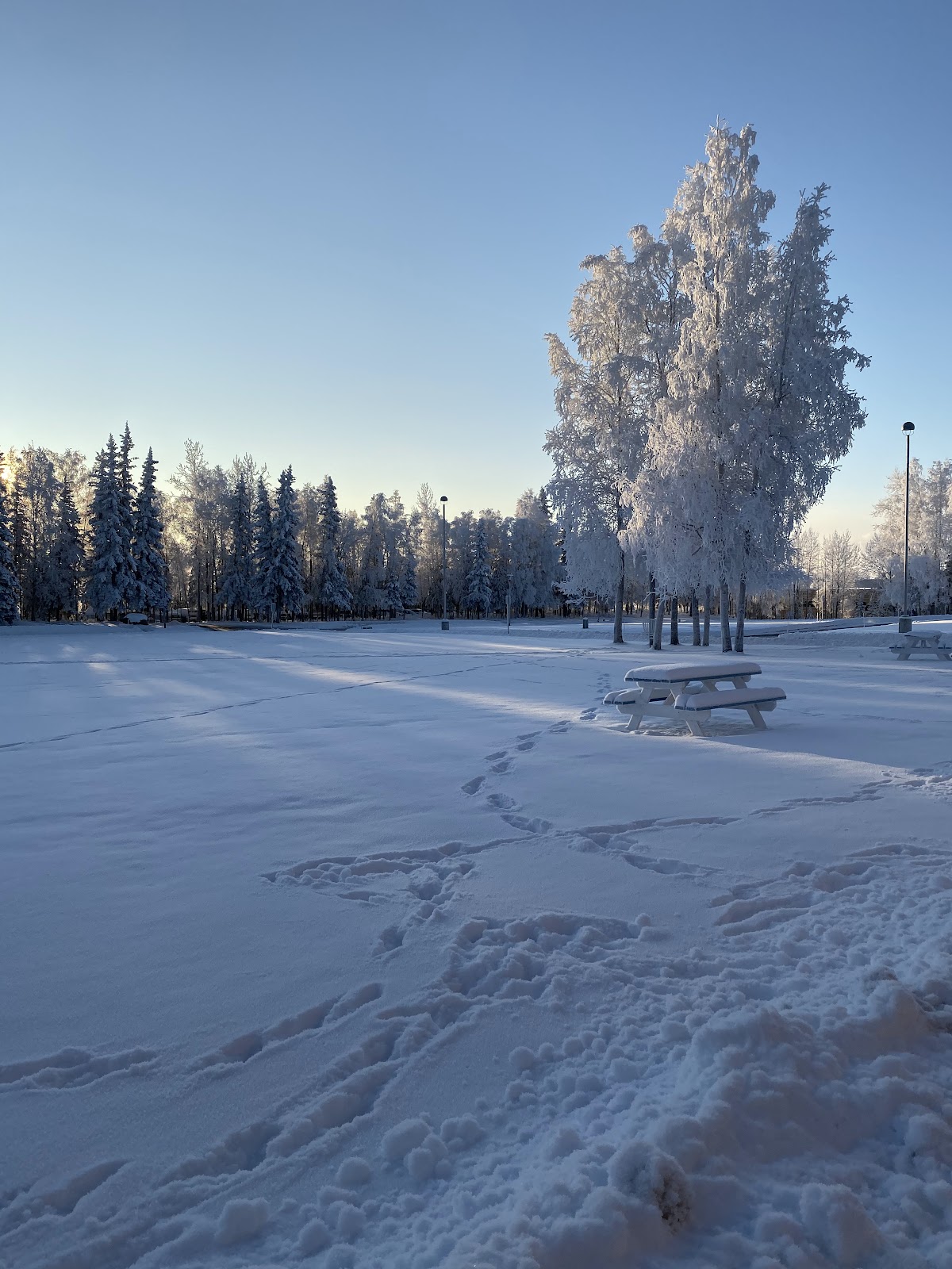 Alaska Pacific University photo 8