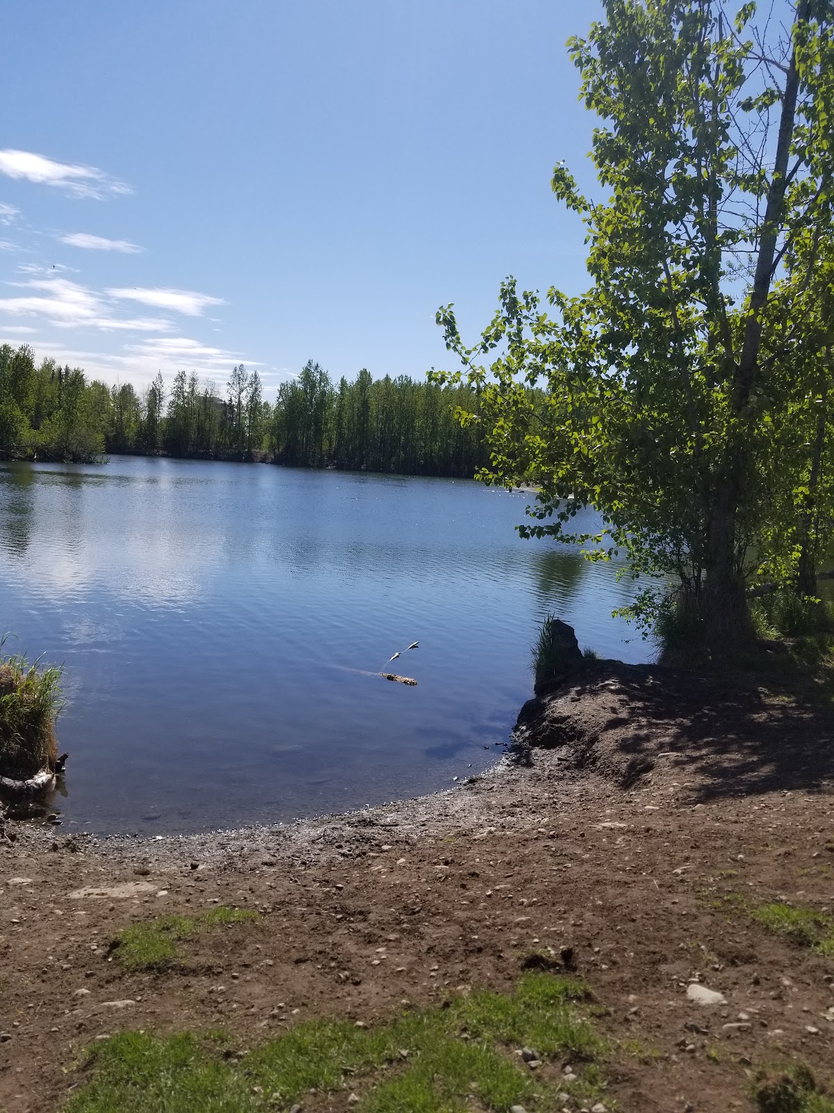 Alaska Pacific University photo 9