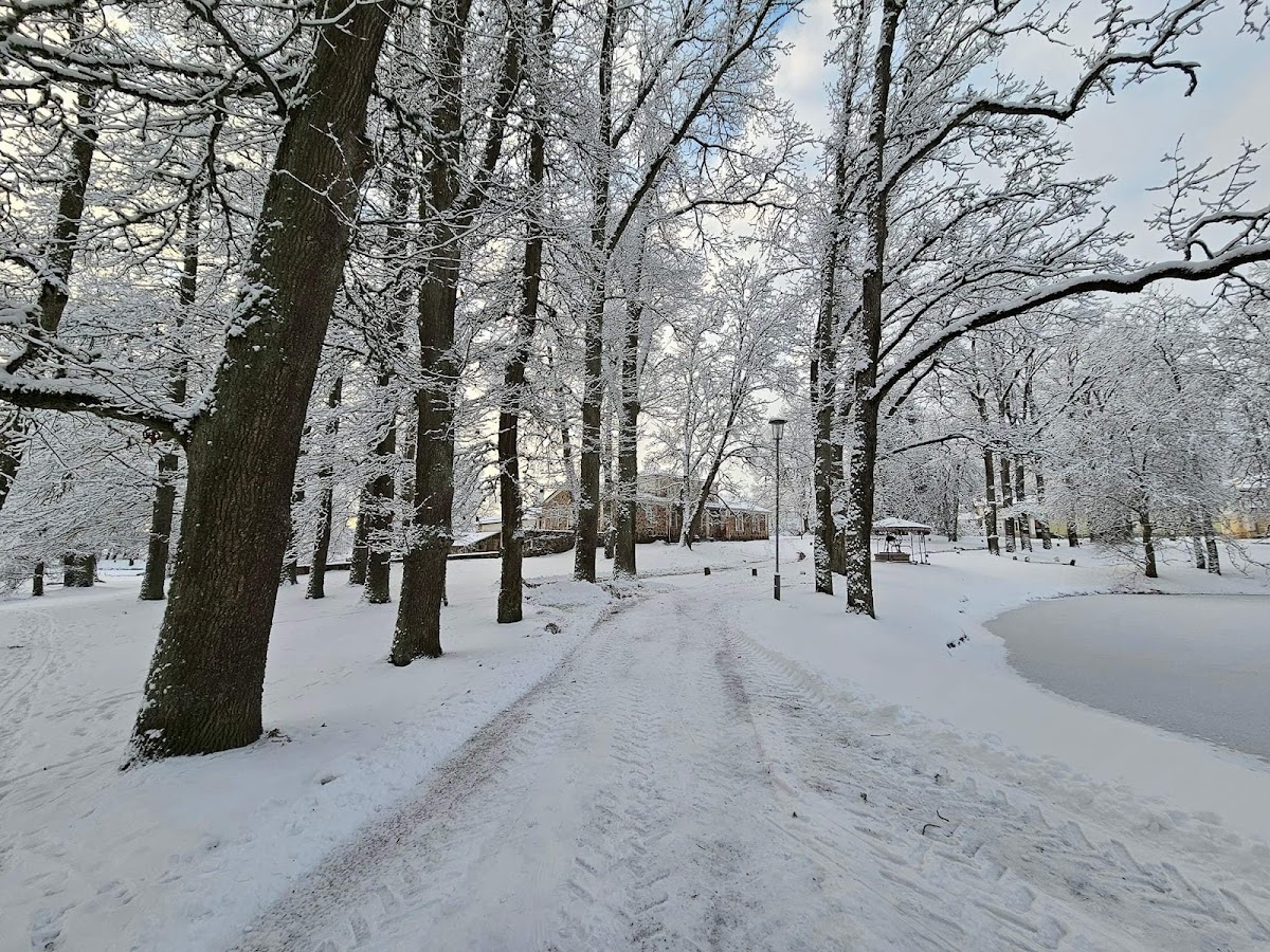 Olustvere School of Service and Rural Economics photo 2