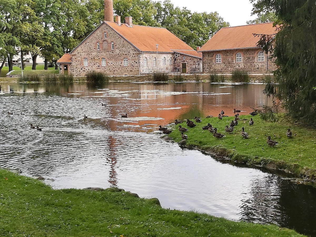 Olustvere School of Service and Rural Economics photo 3