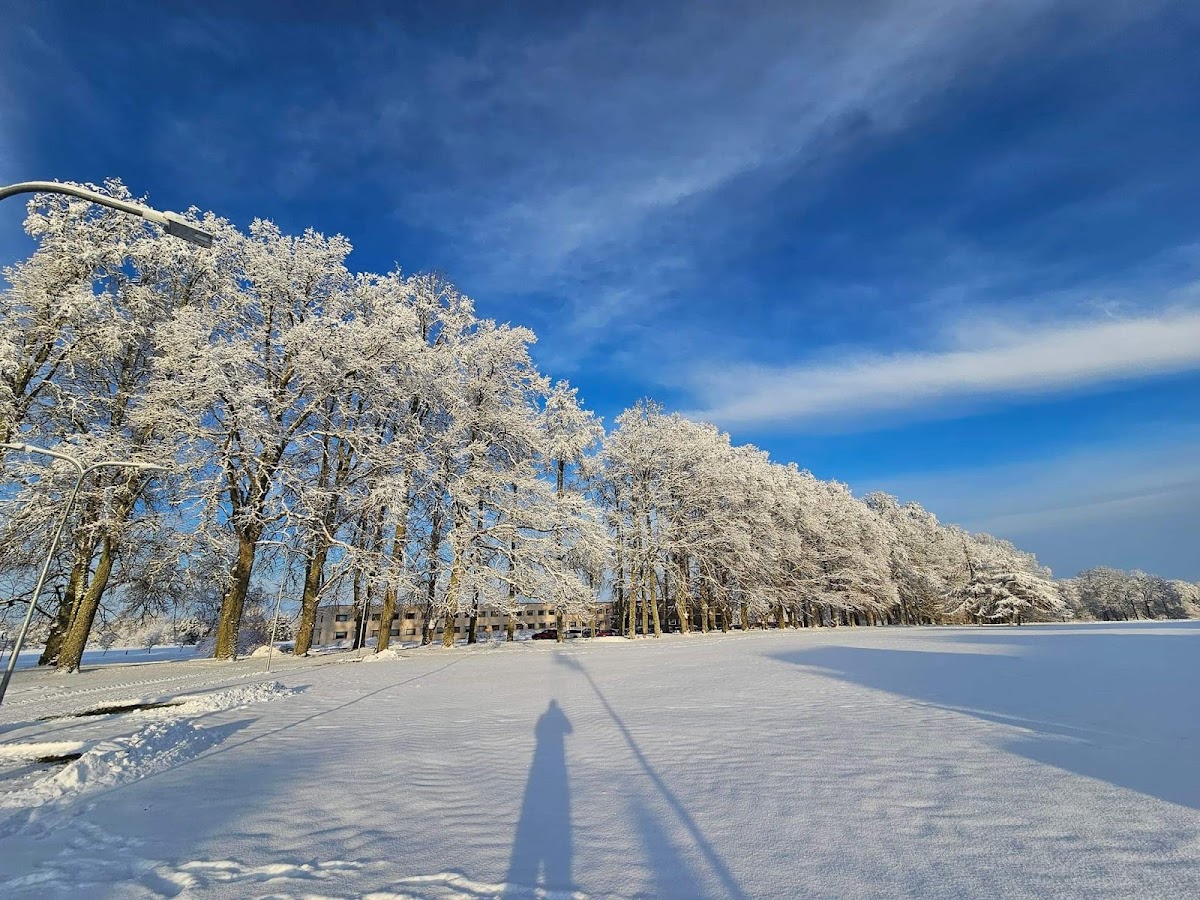 Olustvere School of Service and Rural Economics photo 5