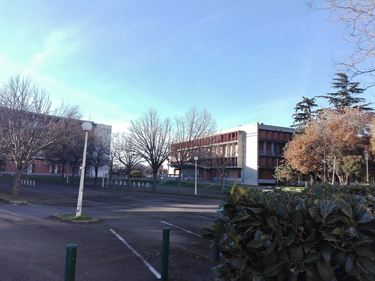 University of Toulouse 1 Capitole photo 7
