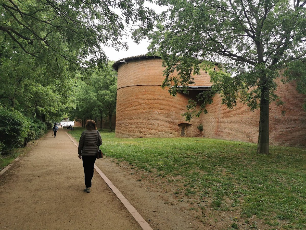 University of Toulouse 1 Capitole photo 8