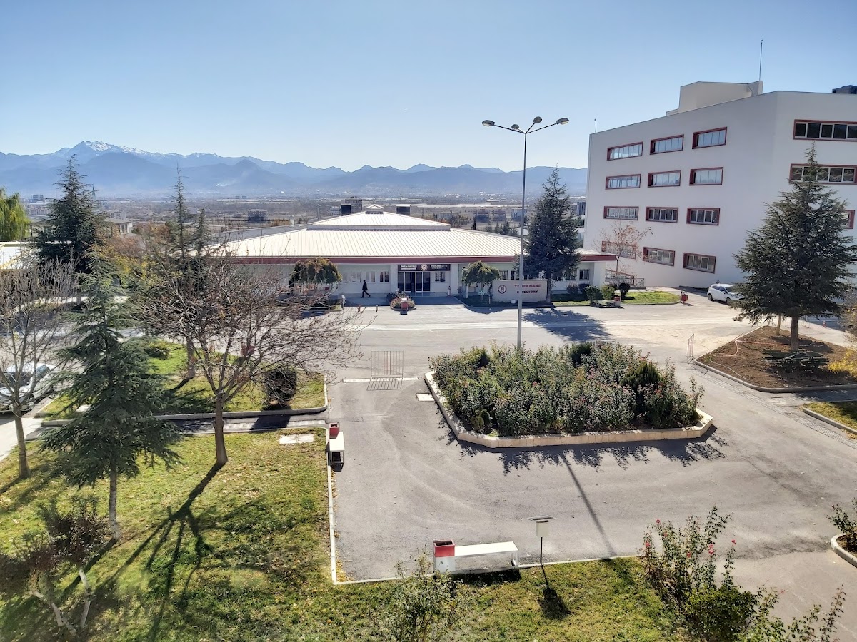 Süleyman Demirel University photo 2